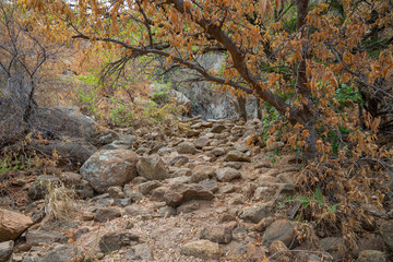 Wichita Mountains Wildlife Refuge in Oklahoma
