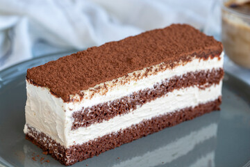 Tiramisu cake. Bakery products. Cocoa and coffee cake on gray background. close up