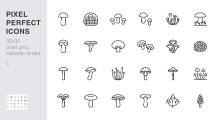 Forest mushroom line icon set. Chanterelle, champignon, shiitake, porcini, cep, truffle shiitake minimal vector illustration. Simple outline sign for edible fungus 30x30 Pixel Perfect Editable Stroke - obrazy, fototapety, plakaty
