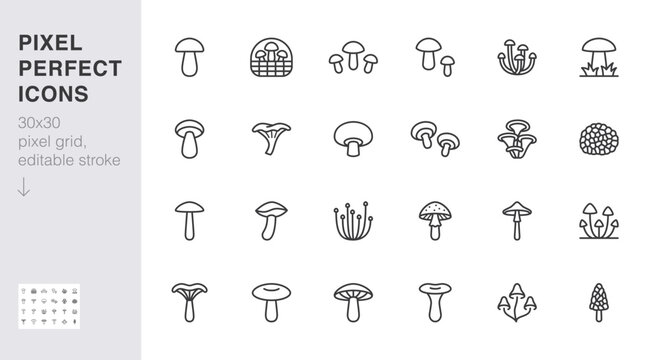 Forest mushroom line icon set. Chanterelle, champignon, shiitake, porcini, cep, truffle shiitake minimal vector illustration. Simple outline sign for edible fungus 30x30 Pixel Perfect Editable Stroke