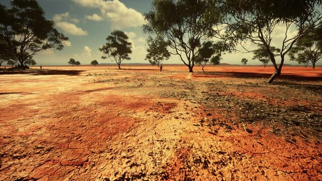 cracked sand in the summer with the sun