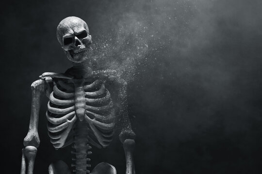 Human skeleton death on dark background