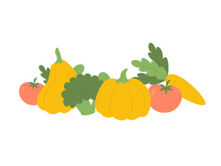 Set of vegetables isolated on white background. Broccoli, pumpkin, carrot, tomato. Vector illustration in flat style. 