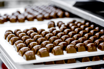 Many chocolate sweets on conveyor belt in food factory