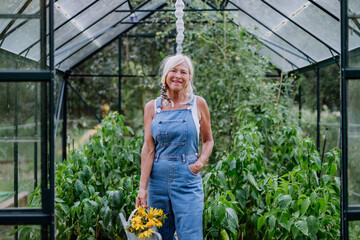 Senior woman posing with watering pot and flowers in her greenhouse, gardening and sustainable...