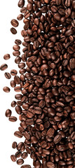 Coffee Beans - isolated image