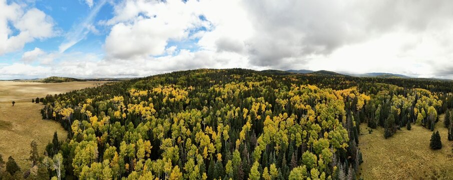 Aerial panoramic image of the changing of the leaves in the White Mountains in far Northeastern Arizona. 