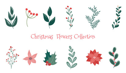 Obraz premium Winter christmas plants illustrations set. Christmas botanical design elements pack. Festive Xmas decor, plant branches, flora, foliage.