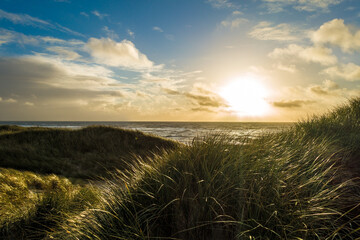Blick durch die Dünen mit Strandhafer auf den Nordseestrand im Sonnenuntergang