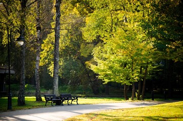 There is a lantern and two benches for romantic dates in the park near the walking path. Walk in the fresh air. Wonderful weather, warm sunny autumn day