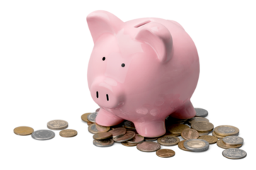 Pink Pig with coins on a white background