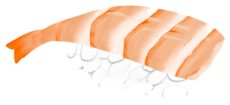 Shrimp sushi ebi japanese dishes delicious asian street food watercolor paint