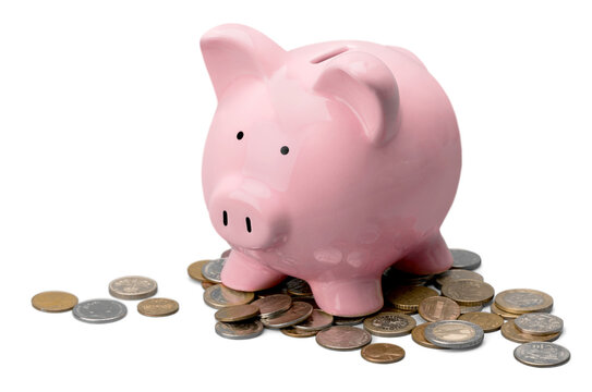 Pink Pig with coins on a white background