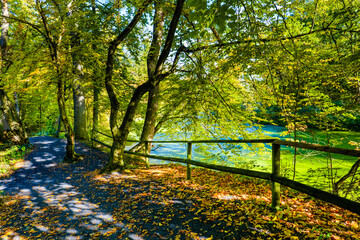 Obraz premium Sunny day in Autumnal forest, yellow orange trees and lake