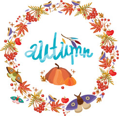 Autumn frame with acorns, mountain ash, pumpkins, moths, maple and oak leaves, mushrooms, apples. Vector illustration. Background for fabric, wallpaper, design.