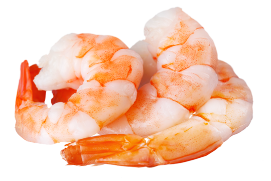 Close-up Tasty Prepared Shrimp on white background