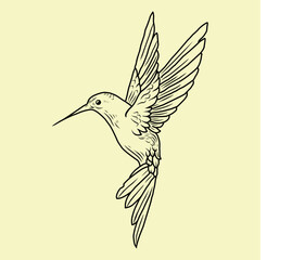 hummingbird in flight © sandro