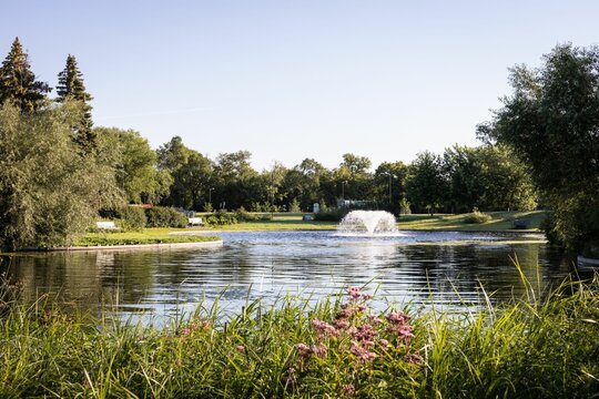 Beautiful shot of a fountain in a lake surrounded by trees in a park