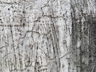 Obraz premium Old white concrete paint wall texture 