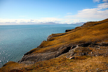 Spitzbergen summer