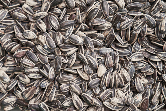 Beautiful sunflower seeds image