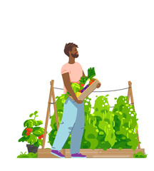 Smiling african man carrying box full of harvested vegetables in kitchen garden. Vector flat illustration - 537007557
