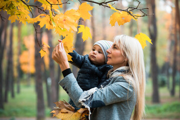 Young happy mother plays with her baby in the park on a sunny autumn day. Happy motherhood and...
