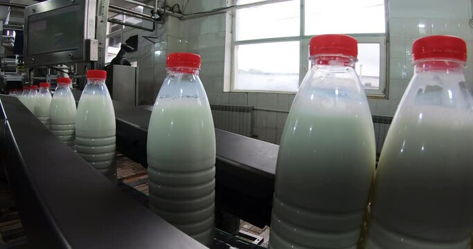 Automated milk filling. Equipment for the production of dairy products. A modern dairy plant.
