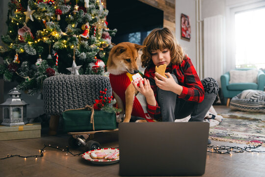 Front View Of A Boy And A Dog Sitting On A Skateboard In Front Of A Christmas Tree Looking At Laptop Eating Cookies