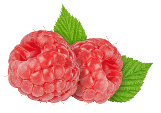 Fresh raspberry with green leaf