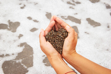 A heart made of sand in a woman's hand on the beach with wawes. 