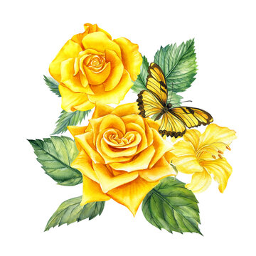Bouquet with butterfly, leaves and yellow flowers, roses and lily. Illustration in vintage watercolor style.