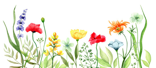 Watercolor spring flowers border, isolated on transparent background
