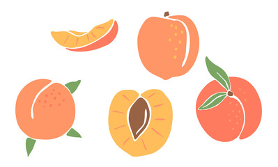 Seamless pattern with colored peaches. Decorative fruits and leaves.