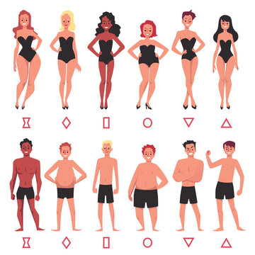 Human body types of female and male set, flat vector illustration isolated.