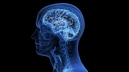 3d rendered medical illustration of active signals in a human brain