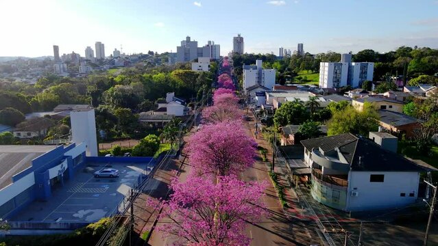 Outubro rosa Drone