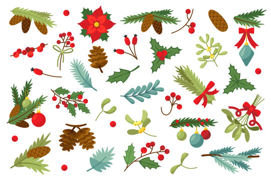 Christmas plants decorations flat icons set. Festive plants for decorations. European holly, poinsettia, douglas fir with cones, mistletoe. Traditional winter holiday decor. Isolated illustration