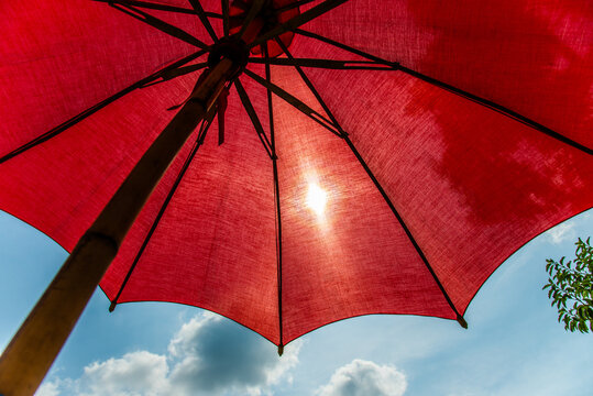 Ant view under Red umbrella with sunlight and blue sky for background concept idea
