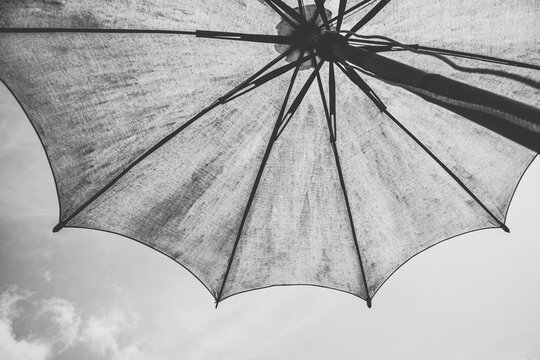 Black and white for Ant view under umbrella with sunlight and blue sky for background concept idea