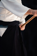 杖術