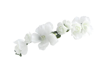 Small White Flower Crown Side View isolated on white background with clipping paths