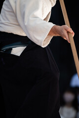 杖術