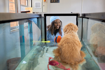 Water treadmill for dog physio