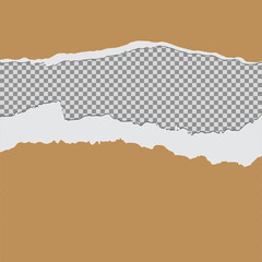 Tore off a piece of colored paper. Vector paper design template. Vector