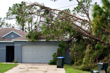 Fallen down big tree on a house after hurricane Ian in Florida. Consequences of natural disaster - Powered by Adobe