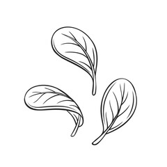 Outline spinach leaves falling concept vector illustration