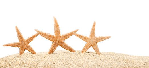 Fototapeta na wymiar starfish with ocean , beach and seascape, shallow dof