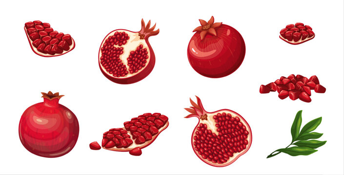 Pomegranate set vector illustration. Cartoon isolated summer red fruit in peel, sweet food and antioxidant dessert and natural botanical leaf, whole and half, quarter slice with ruby juicy seeds,