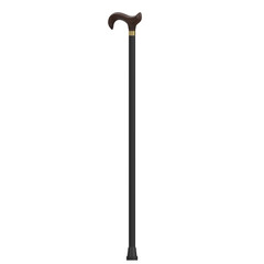 3d rendering illustration of a walking stick